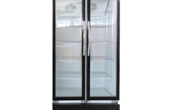 Upright Double 2 Doors Chiller