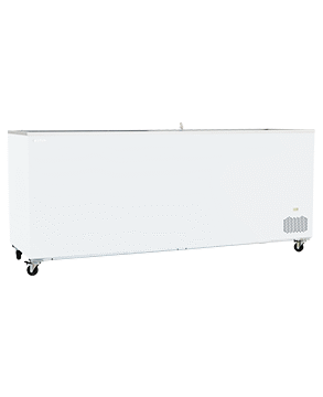 FREEZER UGUR 600 SC WITH LED LIGHT